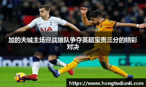 加的夫城主场迎战狼队争夺英超宝贵三分的精彩对决