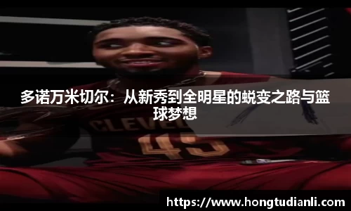 多诺万米切尔：从新秀到全明星的蜕变之路与篮球梦想